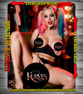 HARLEY QUINN M V1 NOTI  Metal Sign Wall Art 14" x 11"