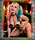 HARLEY QUINN M V3 NOTI  Metal Sign Wall Art 14" x 11"