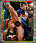 CHUN LI & CAMMY NOTI V2 Metal Sign Wall Art 14" x 11"