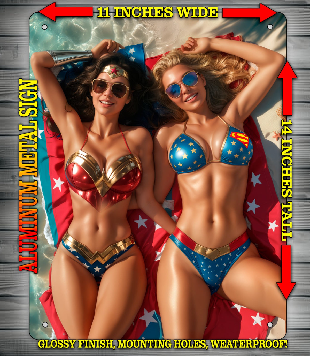 SUPERGIRL & WONDER WOMAN NICE OR NOTI  Metal Sign Wall Art 14" x 11"