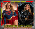 SYDNEY SUPERGIRL & BATGIRL NICE Metal Sign Wall Art 14" x 11"