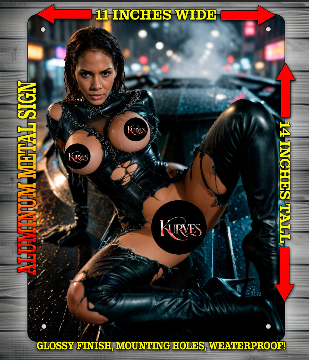 HALLE CATWOMAN COSPLAY NOTI Metal Sign Wall Art 14" x 11"