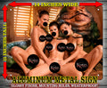 LEIA - REY - PADME NOTI V3 Metal Sign Wall Art 14" x 11"