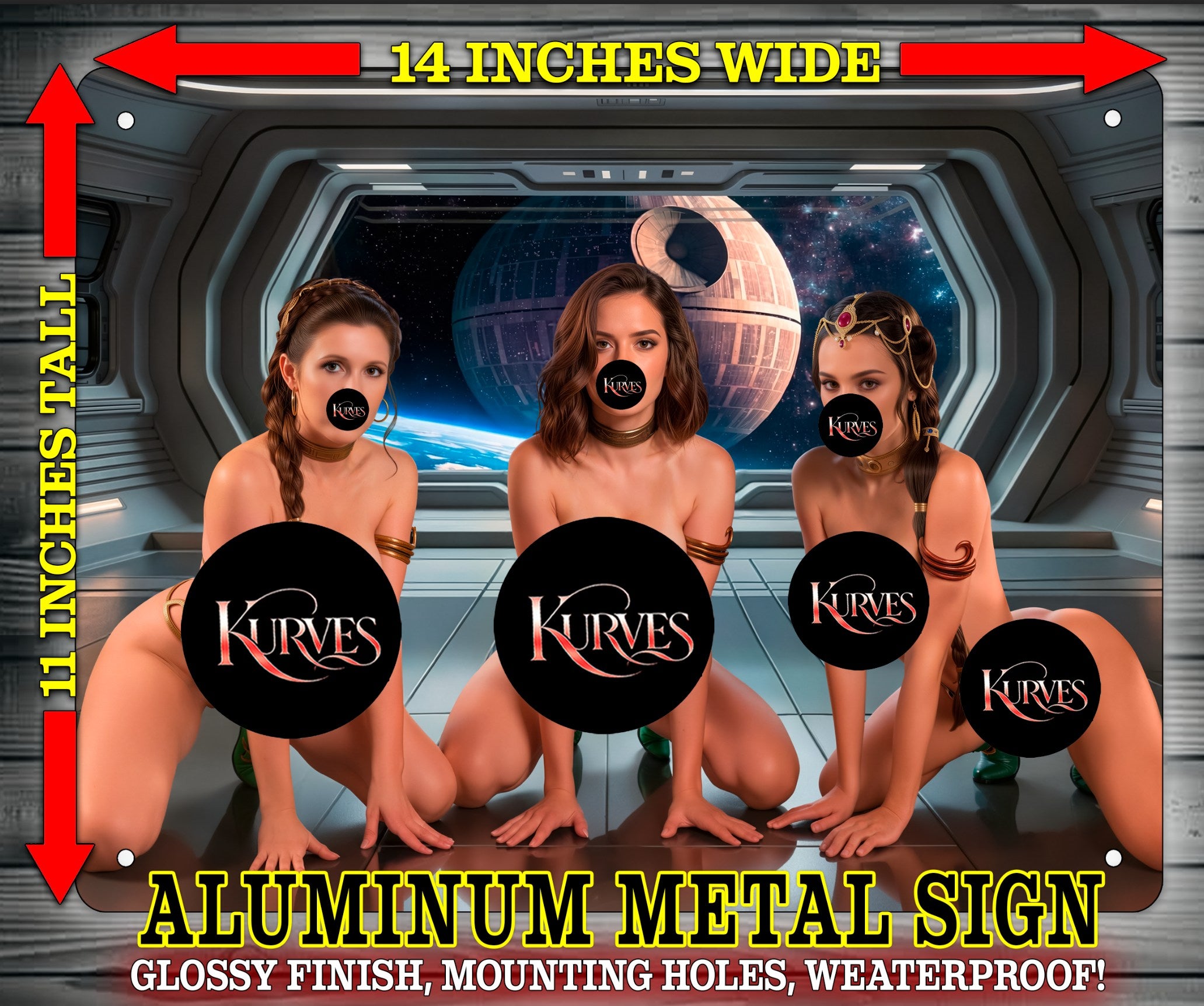LEIA - REY - PADME NOTI V2 Metal Sign Wall Art 14" x 11"