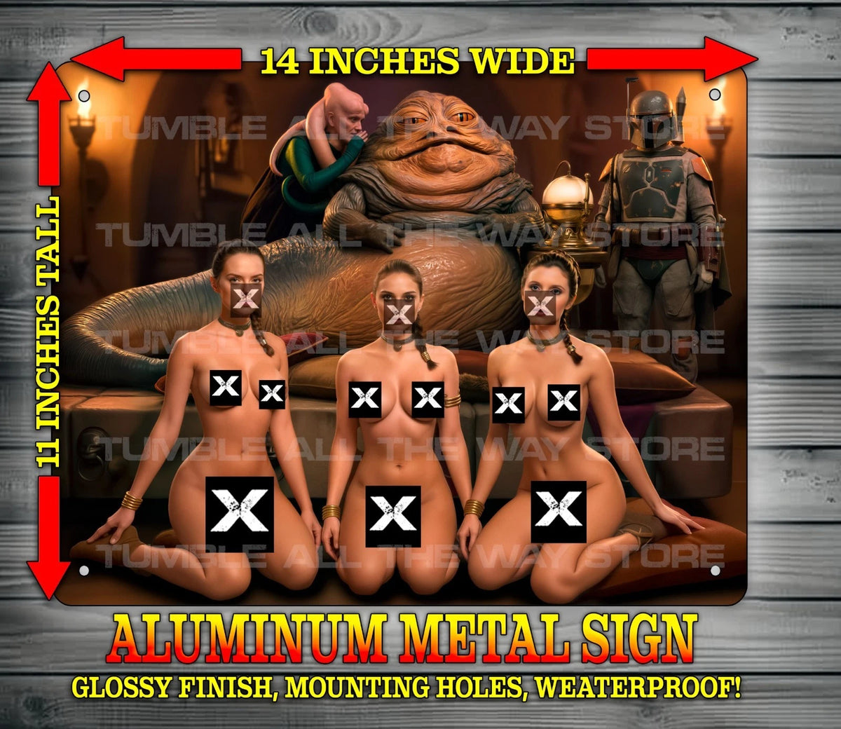 SLAVE LEIA - REY - PADME V2 NOTI Metal Sign Wall Art 14" x 11"