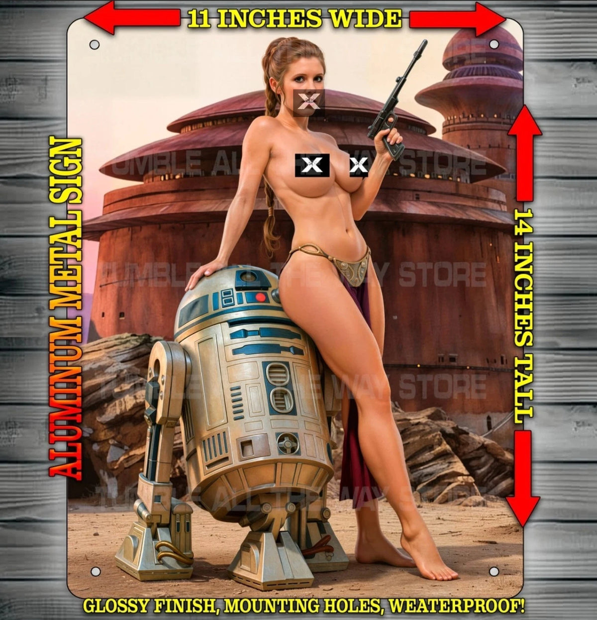 LEIA AND R2D2 NOTI Metal Sign Wall Art 14" x 11"
