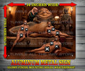 SLAVE LEIA - REY - PADME NOTI Metal Sign Wall Art 14" x 11"