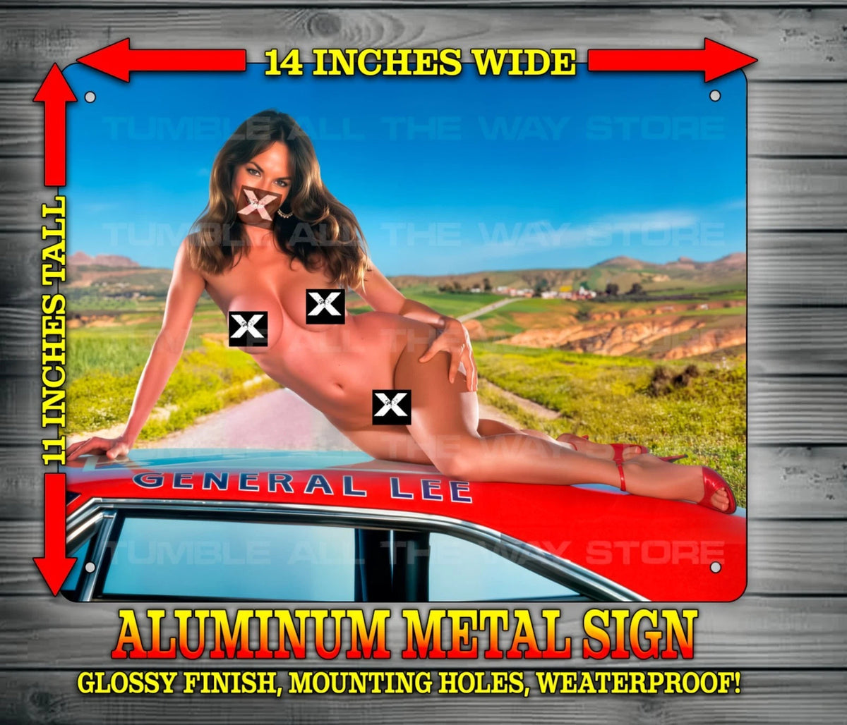 DAISY DUKE V1 NOTI Metal Sign Wall Art 14" x 11"
